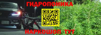 стаф Кунгур