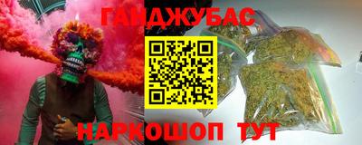 стаф Кунгур
