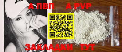 стаф Кунгур