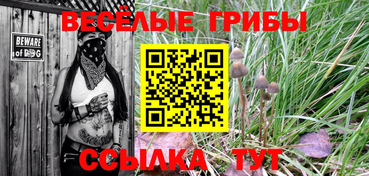 Галлюциногенные грибы ЛСД Чапаевск