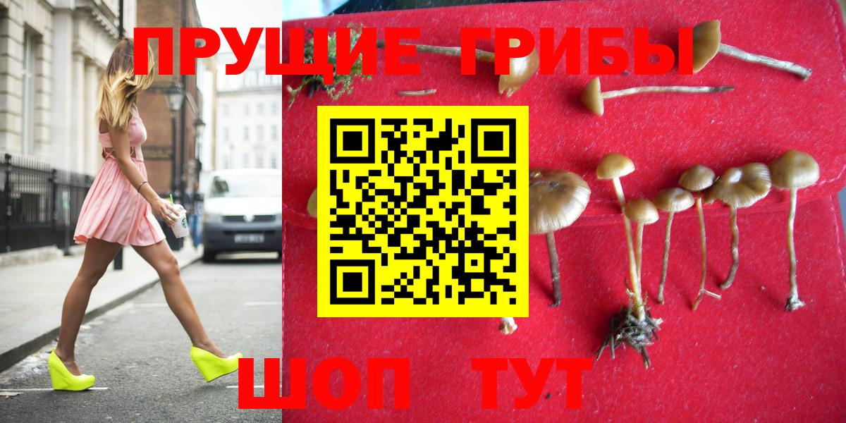 Галлюциногенные грибы Psilocybe  Вход с VPN  Чапаевск  Псилоцибиновые грибы Cubensis 
